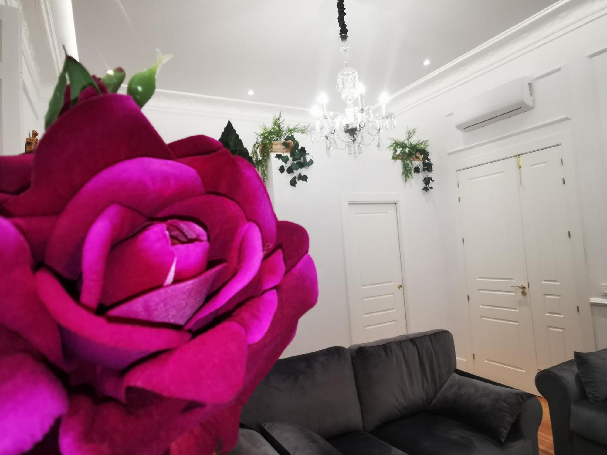 Rua Boutique * Salamanca