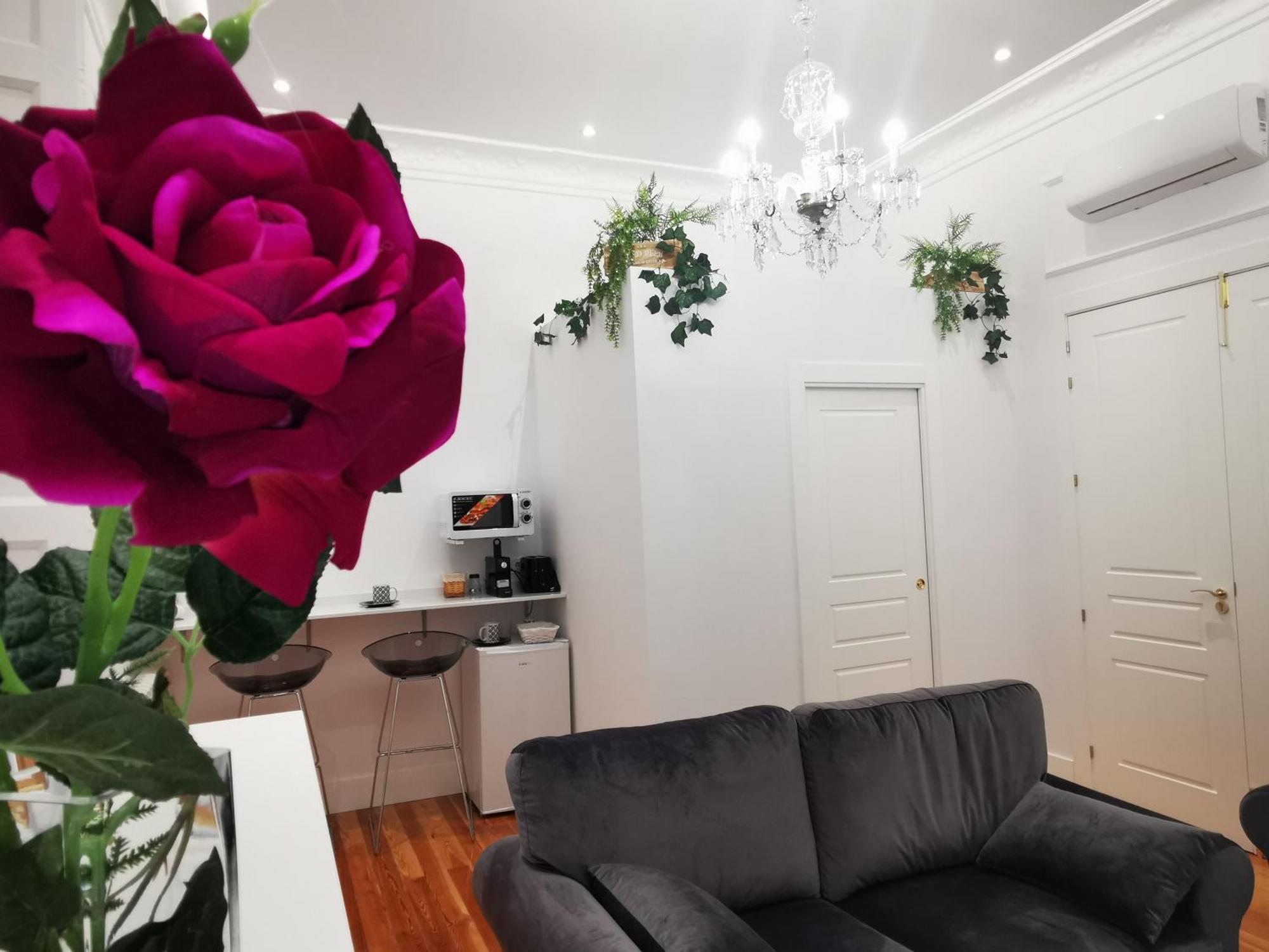 Apartment Rua Boutique Salamanca